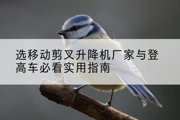 怀来电动升降机厂家-选移动剪叉升降机厂家与登高车必看实用指南
