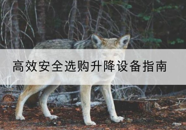 怀来升降货梯厂家推荐-*安全选购升降设备指南